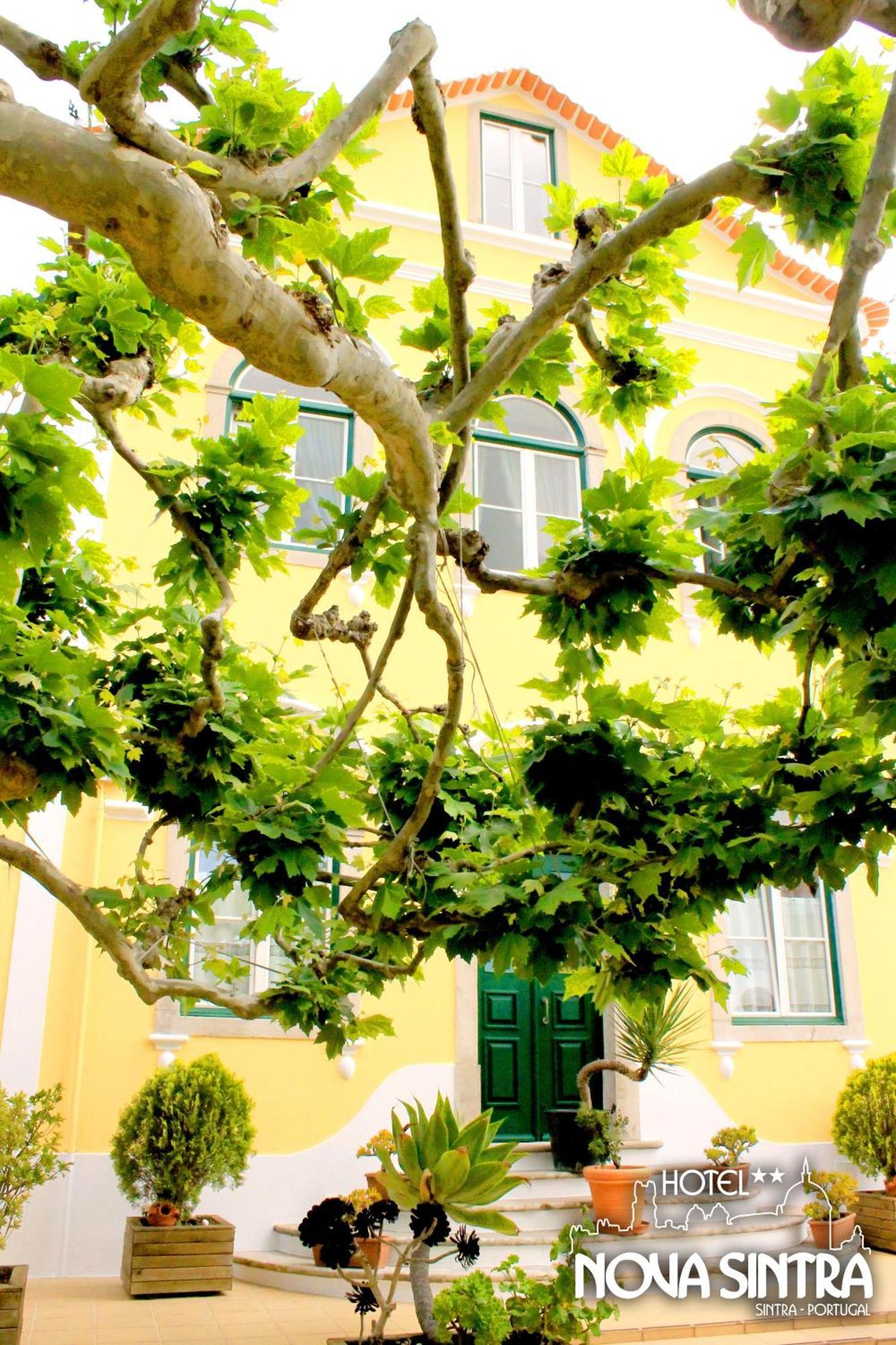 Hotel Nova Sintra - Adults Only Екстер'єр фото